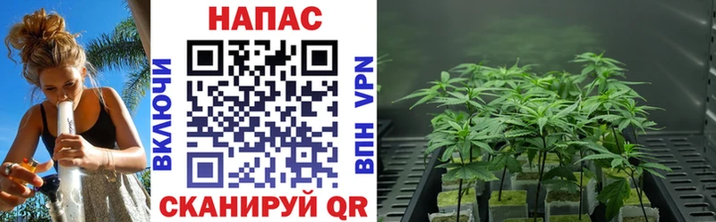 Канабис Bruce Banner  закладка  Лермонтов 